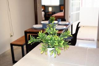Hermoso departamento a 7 min de los balnearios - Ixmiquilpan - 3