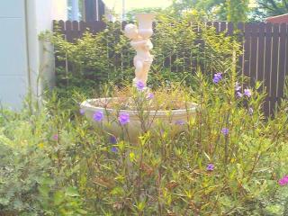 C2 Residence Hotel - 1