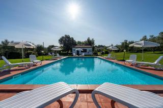 Agriturismo Poggio degli Ulivi - 6