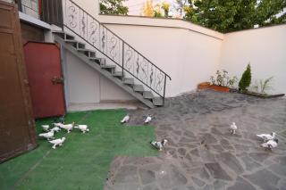 Guest House - Gyumri - 7