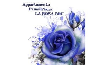La casa dei gabbiani - Torre del Lago Puccini - 9