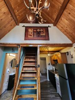 Bear Necessities Alaska - 6