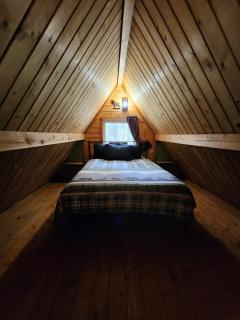 Bear Necessities Alaska - 5