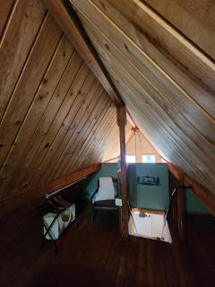 Bear Necessities Alaska - 4