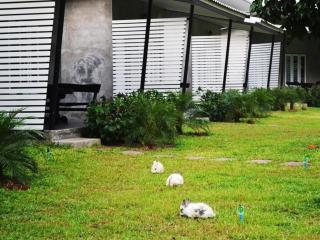 V Valley Resort - Satun - 2
