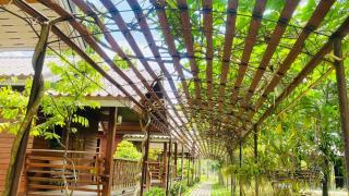 Phuphan Park Hotel - 6