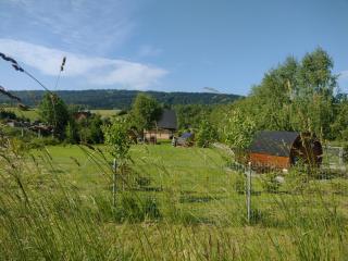Domki Brzozówka w Bieszczadach - 3