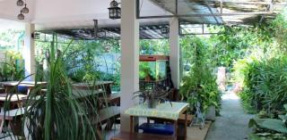Rommai Rimnaam Resort - Ranong - 5