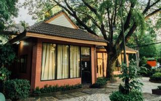 The Pine Resort - Pathum Thani - 9