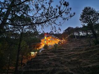 Wonder Hill Kasauli - 8