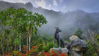 Phuphayot Resort - 1