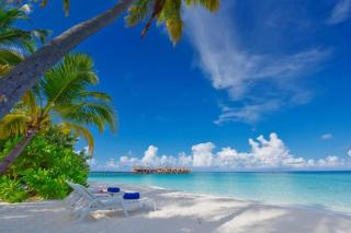 Angaga Island Resort and Spa - Theluveligaa - 9