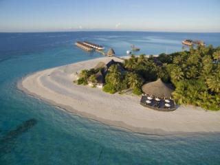 Angaga Island Resort and Spa - 4