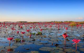 Maderbua hotel - Udon Thani - 1
