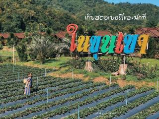 Nai Khun Khao Resort - 4