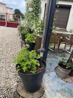 L'Estuaire - 1