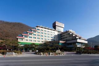 Danyang tourist hotel Edelweiss - Danyang - 0