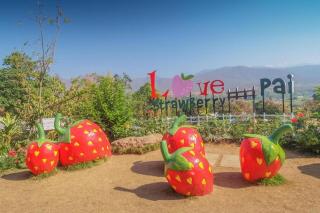 Aroma Pai Spa Hotel - 1