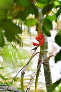 Banmaihom Resort Amphawa - 1