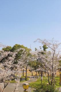 Suning Zhongshan Golf Resort - Nanjing - 3