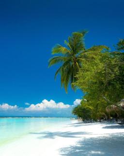 La Isla Bonita - Maafushi - 7