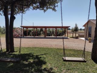 Agriturismo I Debbi - Bibbona - 0