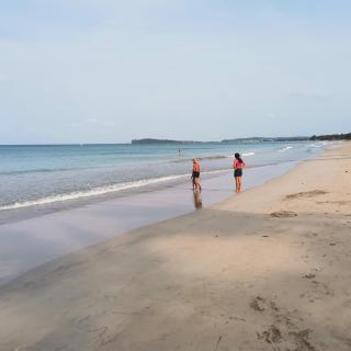 Surf reef beach - 1