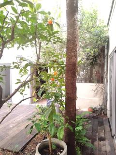 Lofthouse with garden in Paris 5 adults, 1 kid - 5