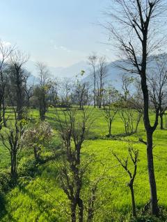 Jimmys River Resort - Chamba - 7