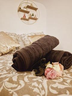 T2 Havre de paix nature cœur d Aix - Aix-en-Provence - 4