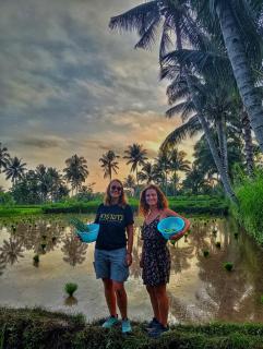 Alfarizi homestay - Tetebatu - 3