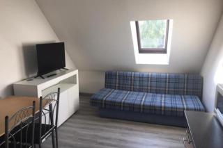 Fewo 71 Kleine 1 Raumwohnung in Roggow - 1