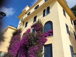 La Bouganville Beatiful Sea view - Monterosso al Mare - 9