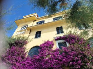La Bouganville Beatiful Sea view - Monterosso al Mare - 0