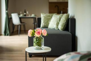 Zoya Bled Apartments - 0