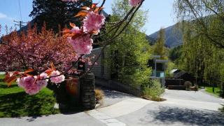 The Arrow Hotel - Arrowtown - 5