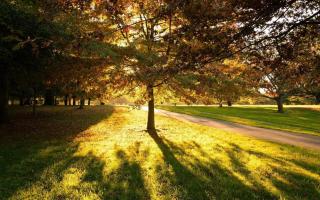 Christchurch Motel - 1