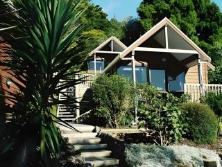 Bay Cabinz Motel - Paihia - 2