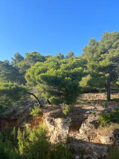 Aparthotel Rana Hedhun - 4