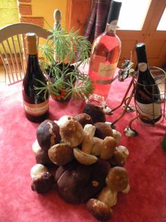 Retour Aux Sources - 1