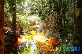 Chalé Piscina Rio Área de Lazer na Terra do Sossego - Pirenópolis - 1