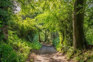 Rural perfection in Constable Country - Beachams Cottage - Colchester - 1