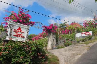 Sarivanna Penida - Nusa Penida - 1