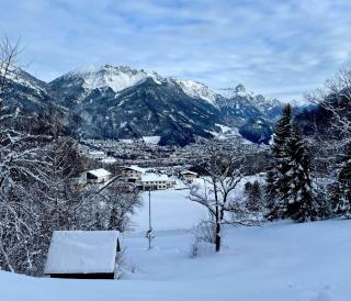 Appartement Mona - Bürserberg - 6