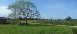 Thanh Chiêm Village - Dien Ban - 4