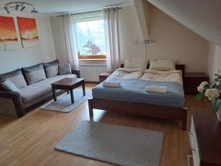 Podlaska chata - Augustów - 9