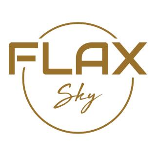 FLAX Apartments - charm and comfort in historic center - Antwerp - 6