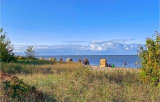 Sanddorn - Gollwitz - 2