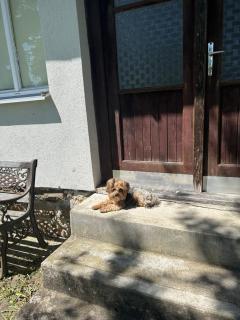 Příjemná chaloupka na Třeboňsku - 5