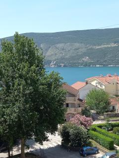 Apartman Hola - Herceg-Novi - 1